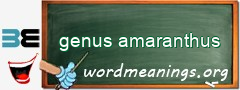 WordMeaning blackboard for genus amaranthus
